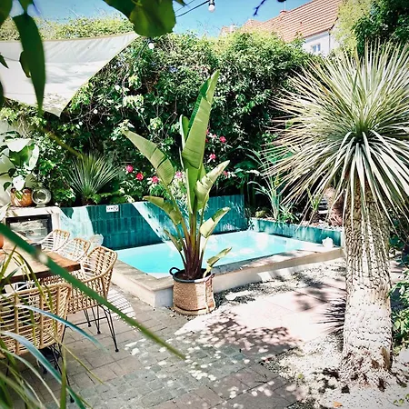 Apartment Exclusive 3city In With Swimming Pool And Parking By Renters