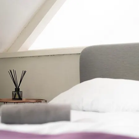 Exclusive 3city In With Swimming Pool And Parking By Renters Daire